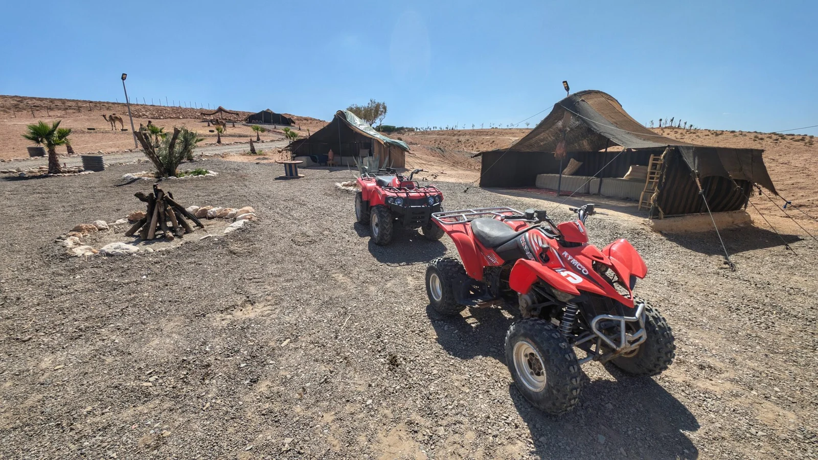 Raid Quad